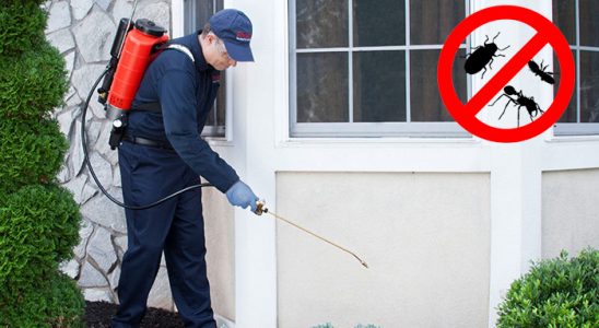 Aksaray Fare İlaçlama böcek ilaçlama ve haşere kontrolü — ilaclama-tr.com